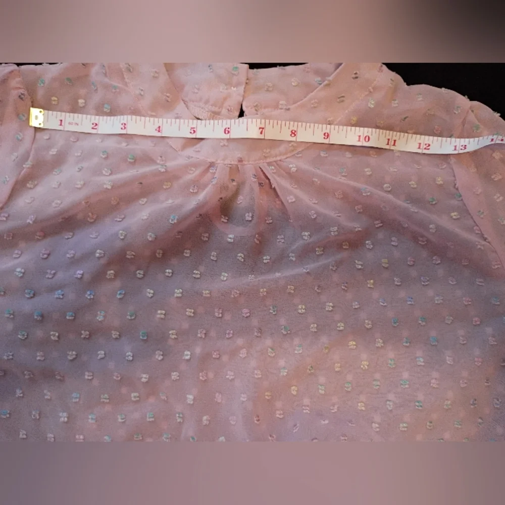 Pink Sheer Chiffon Clip Dot Mock Neck Long Sleeve Blouse - Picture 11 of 13